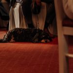 Heiraten im Golfclub Trages-Hund